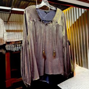 Shimmery Bronze Blouse